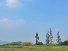 -良渚古城遗址公园