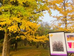 -国家植物园南园