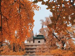 -北京石刻艺术博物馆(五塔寺)