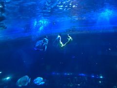 -华夏文旅海洋公园