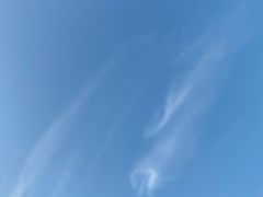 -新木器时代餐厅(太湖新天地店)