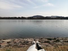 -羊山湖公园