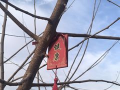 -广胜寺塔