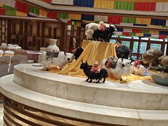 -九寨沟天源豪生度假酒店-豪庭轩中餐厅