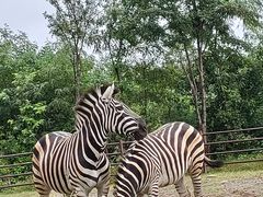 -济南野生动物世界