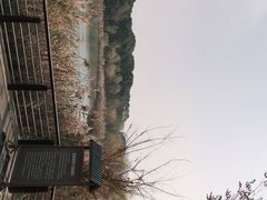 -昆山城市生态森林公园