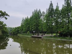 -江心屿景区