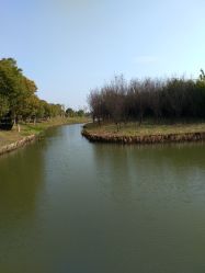 -水八仙生态园
