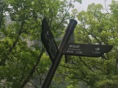 -陕西省红河谷森林公园