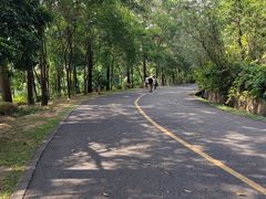 -红花湖景区