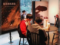 大堂-喜茶(广州北京路惠福东店)