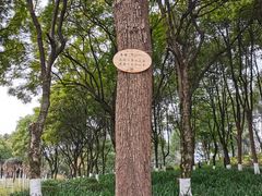 -重庆彩云湖湿地公园