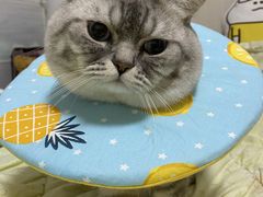 -纳吉亚猫专科动物医院博雅分院