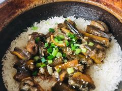 -红星光发煲仔饭(大石街店)