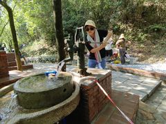 -广州白江湖森林公园