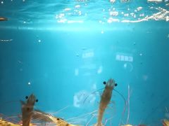 -太平洋PACIFIC SPA•奢睿水疗(万象城店)