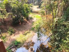 -野象谷景区