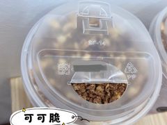 -CoCo都可(丁家庄店)