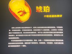 -广东省博物馆
