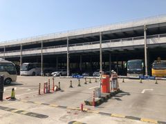 -上海植物园·停车场