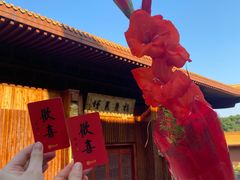 -深圳仙湖植物园