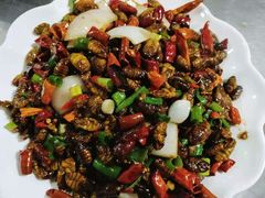 蚕蛹-阆辣荟餐饮(老味道8年·古城店)