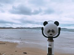 -长江澳风力发电景观区