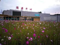 -芦芽山旅游度假区