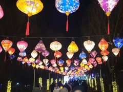-青龙湖公园