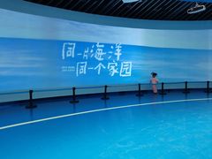 -广东惠东海龟国家级自然保护区
