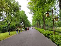 -洋湖国家湿地公园