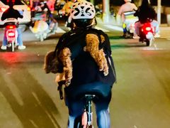 -大望路(地铁站)