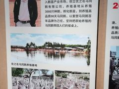 -优之名鹅城