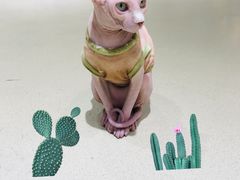 -藏猫猫咖啡主题馆(中央大道店)