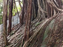 -乌山风景区