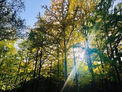 -阳台山自然风景区