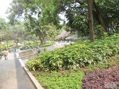 -九龙公园