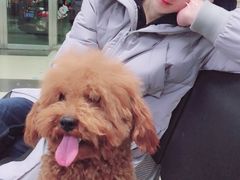 -宠颐生中康贝怡动物医院
