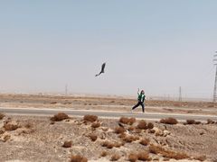 -克孜尔尕哈烽燧世界文化遗产公园