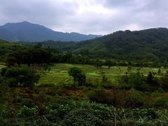 -塔川景区