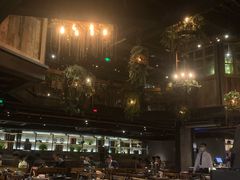 -同仁四季椰子鸡(海岸城天利店)