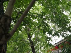 -十三陵山水雅园农家院