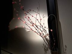 -小隐人家(乐松店)