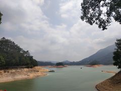 -广州市流溪河国家森林公园