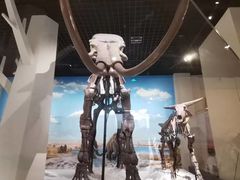 -国家自然博物馆