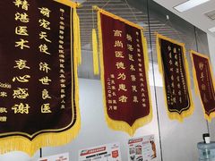 -中农国际动物医院24小时·猫科·骨科·急重症中心