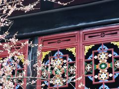 -青羊宫