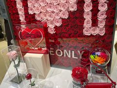 -ROSEONLY诺誓(磐基中心店)