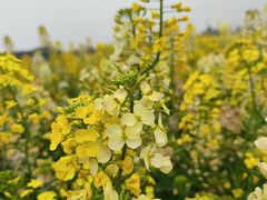 -中国天府农业博览园