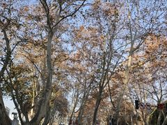 -南京维景国际大酒店(南京博物院店)